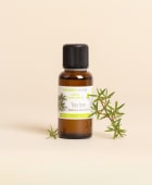 Huile essentielle Tea tree (Arbre à Thé)