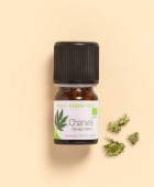 Olio essenziale di canapa BIO
