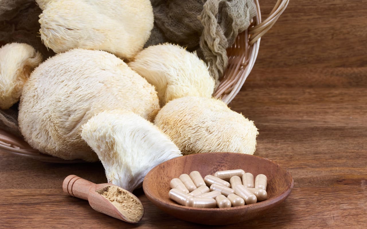Lion’s mane : quels bienfaits ?