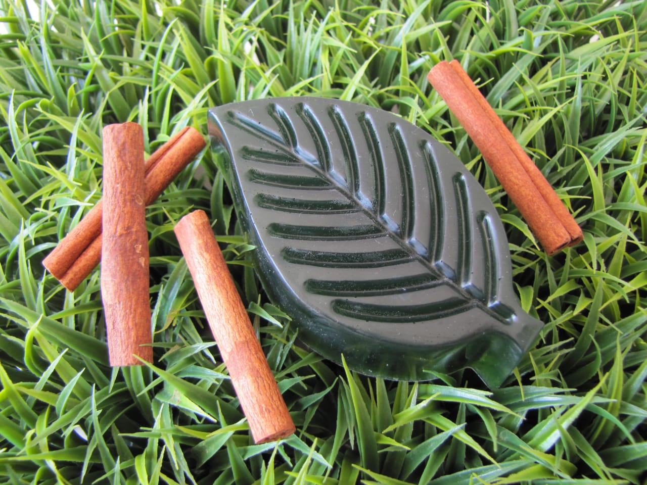 Savon anti-odeur de cuisine Feuilles de Cannelle & Figuier