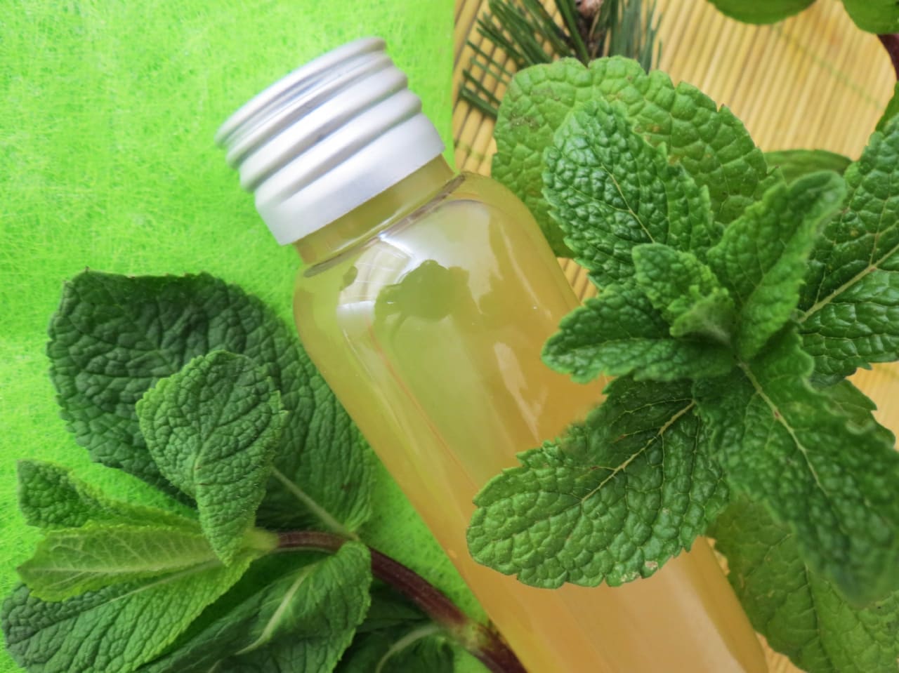 Lotion à la prêle désaltérante et jeunesse pour peaux grasses