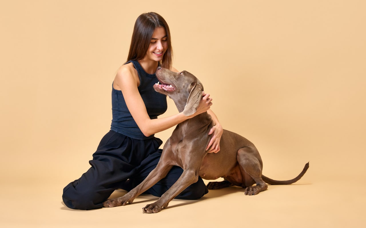 Entretenir un chien à poils courts : conseils et bonnes pratiques