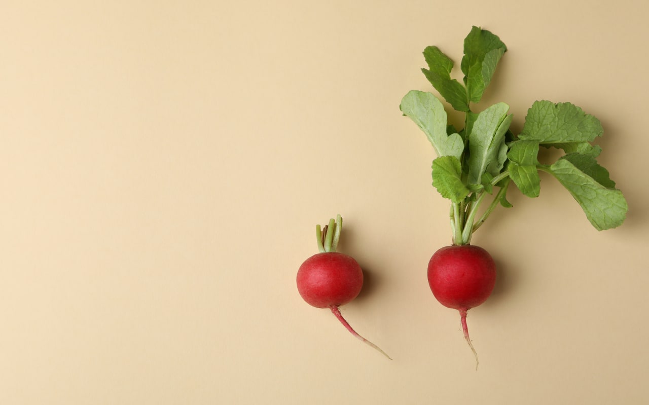 Radis : comprendre ses calories et ses atouts nutritionnels