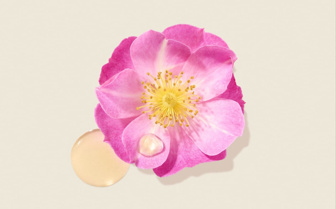 Olio vegetale di Rosa mosqueta Aroma-Zone