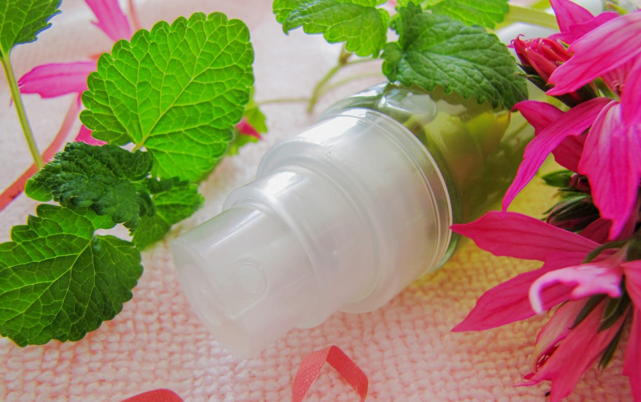 Infusion ayurvédique aux plantes aromatiques purifiantes
