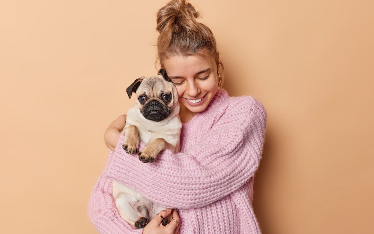 Gingivite du chien : causes et symptômes