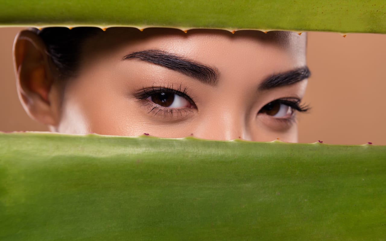 Aloe vera sur le contour des yeux : quels effets ?