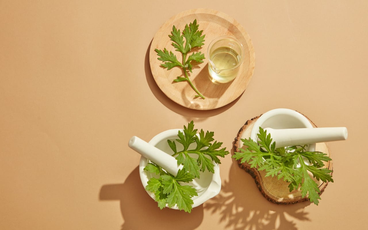 Armoise (Artemisia vulgaris) : définition, propriétés et bienfaits