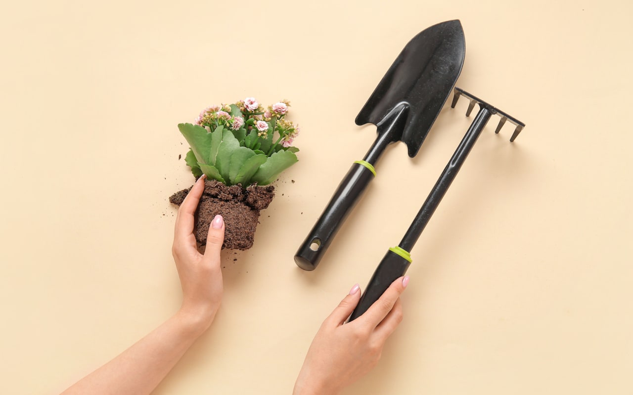 Que mettre dans un composteur ? Astuces et conseils