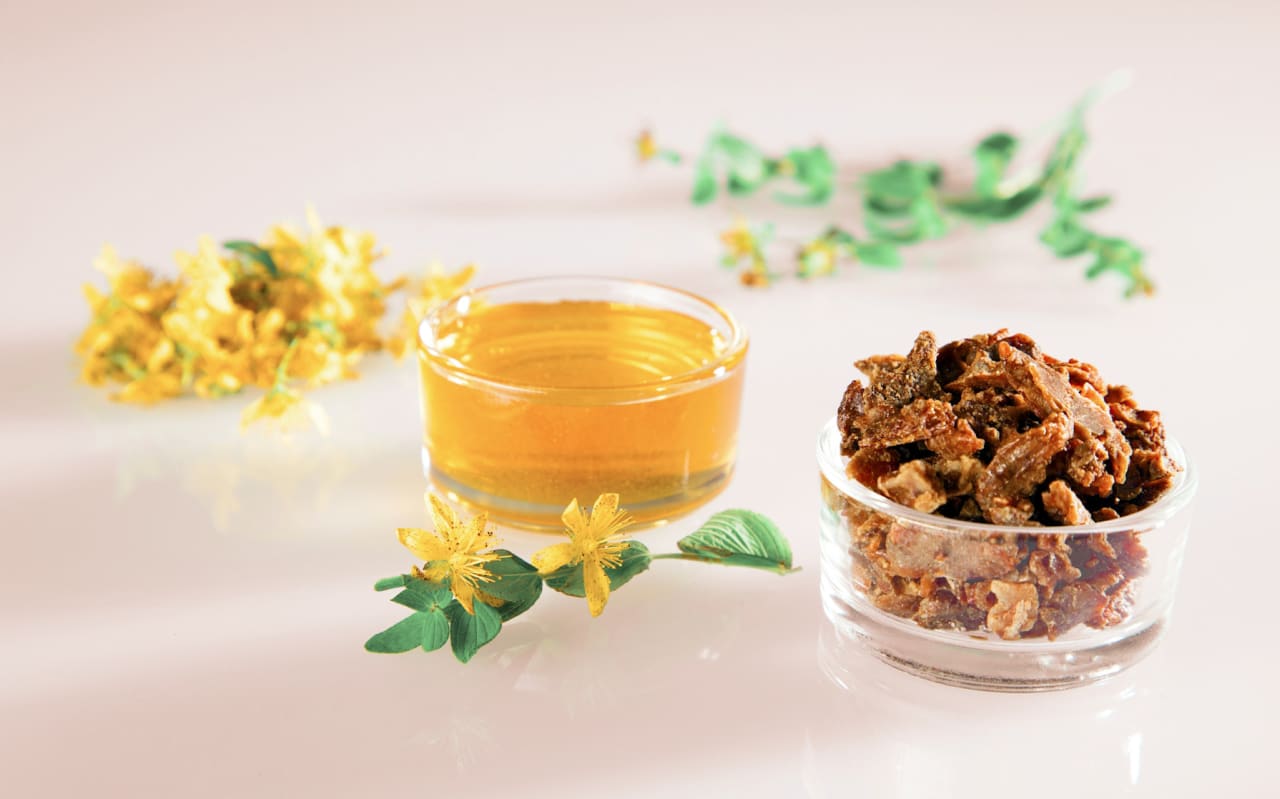 Qu'est-ce que la Propolis ?