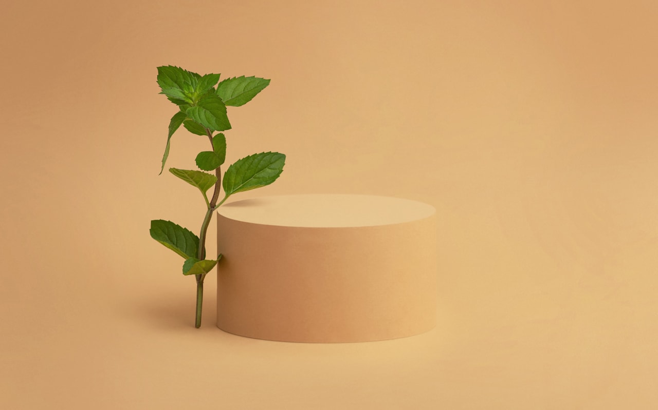 Les usages de la menthe : quels inconvénients possibles ?
