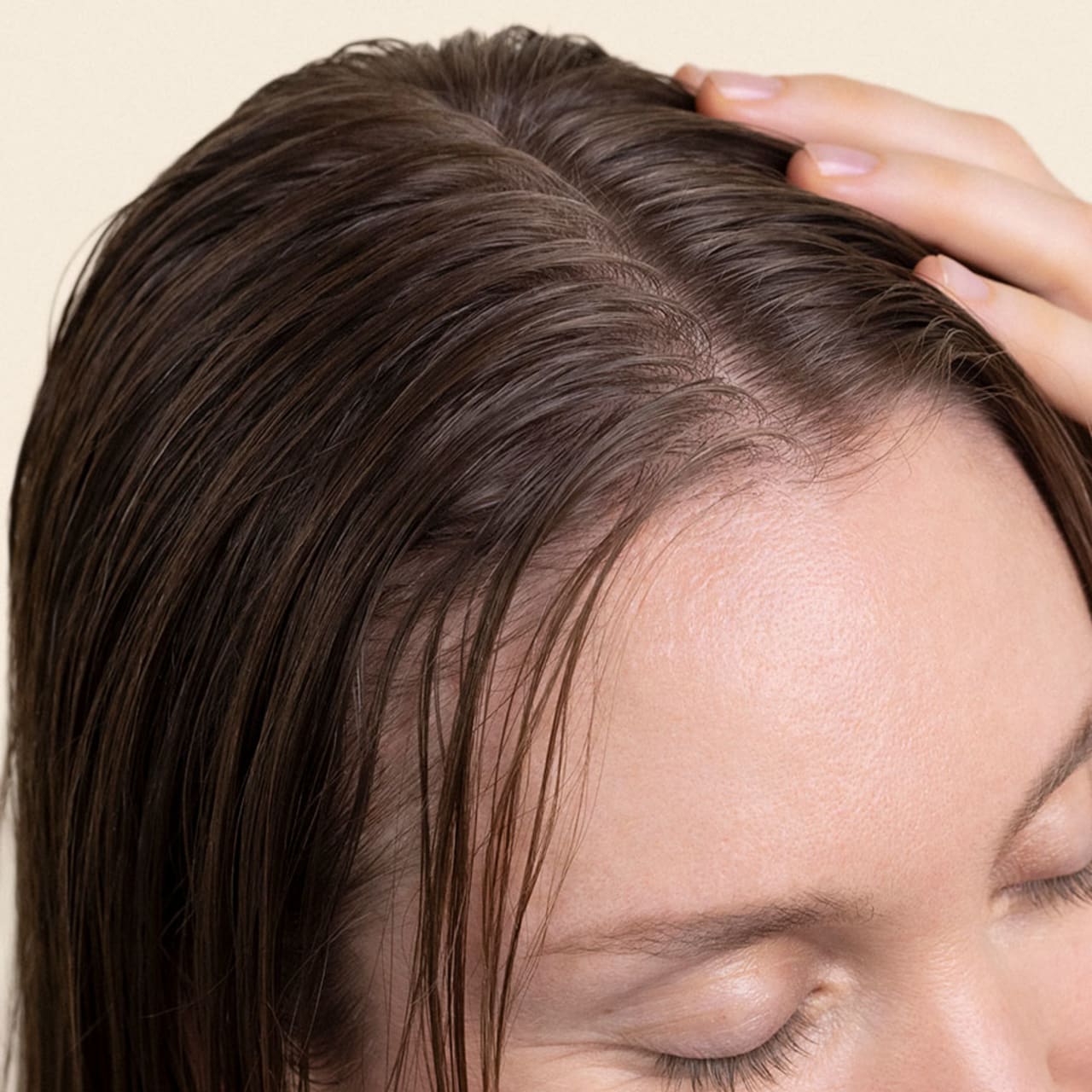 25 octobre modele-581