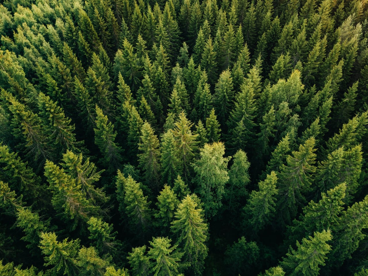 AdobeStock 192168592