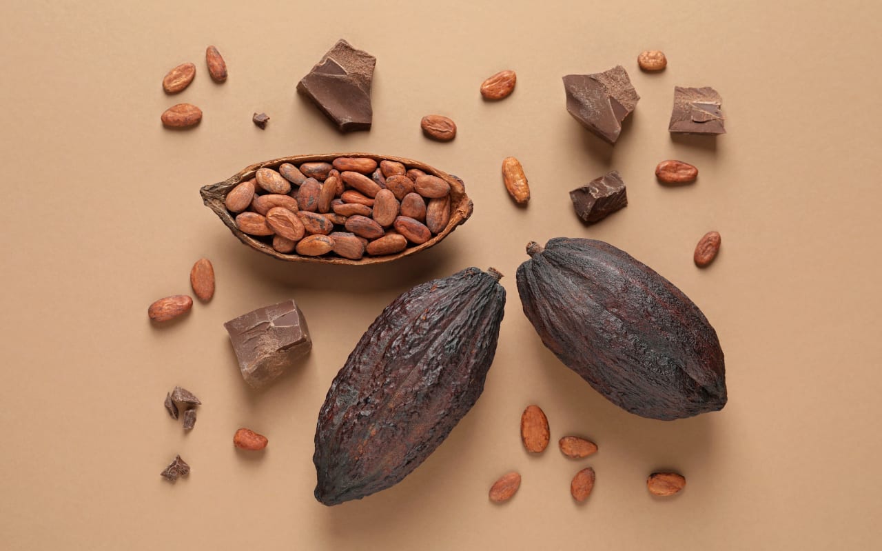 Le Cacao (Theobroma cacao) : définition, propriétés et bienfaits