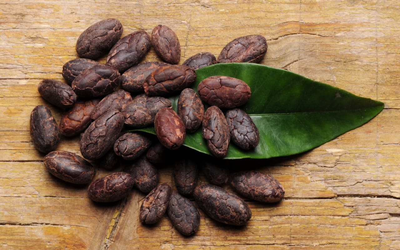Fève de Cacao : quels sont ses bienfaits ?