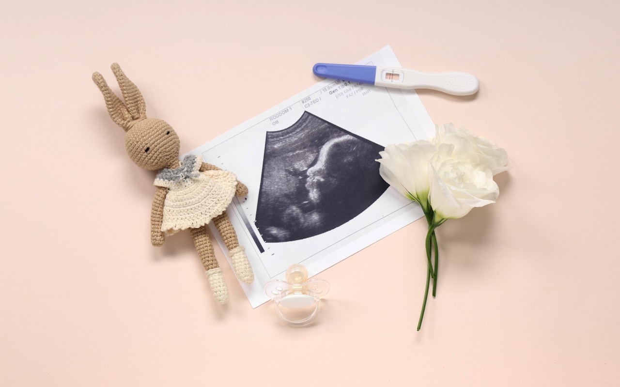  Comprendre la fertilité