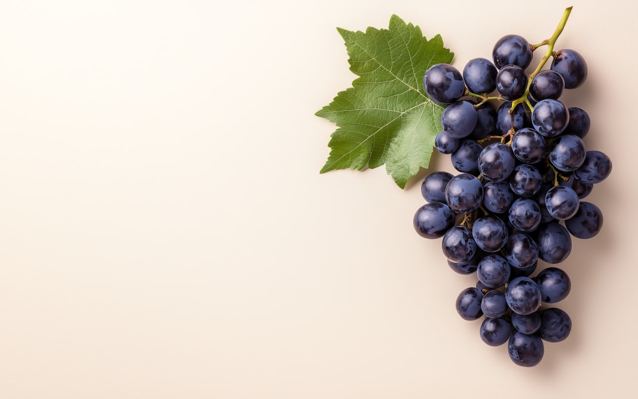 Tout sur les bienfaits du Raisin noir