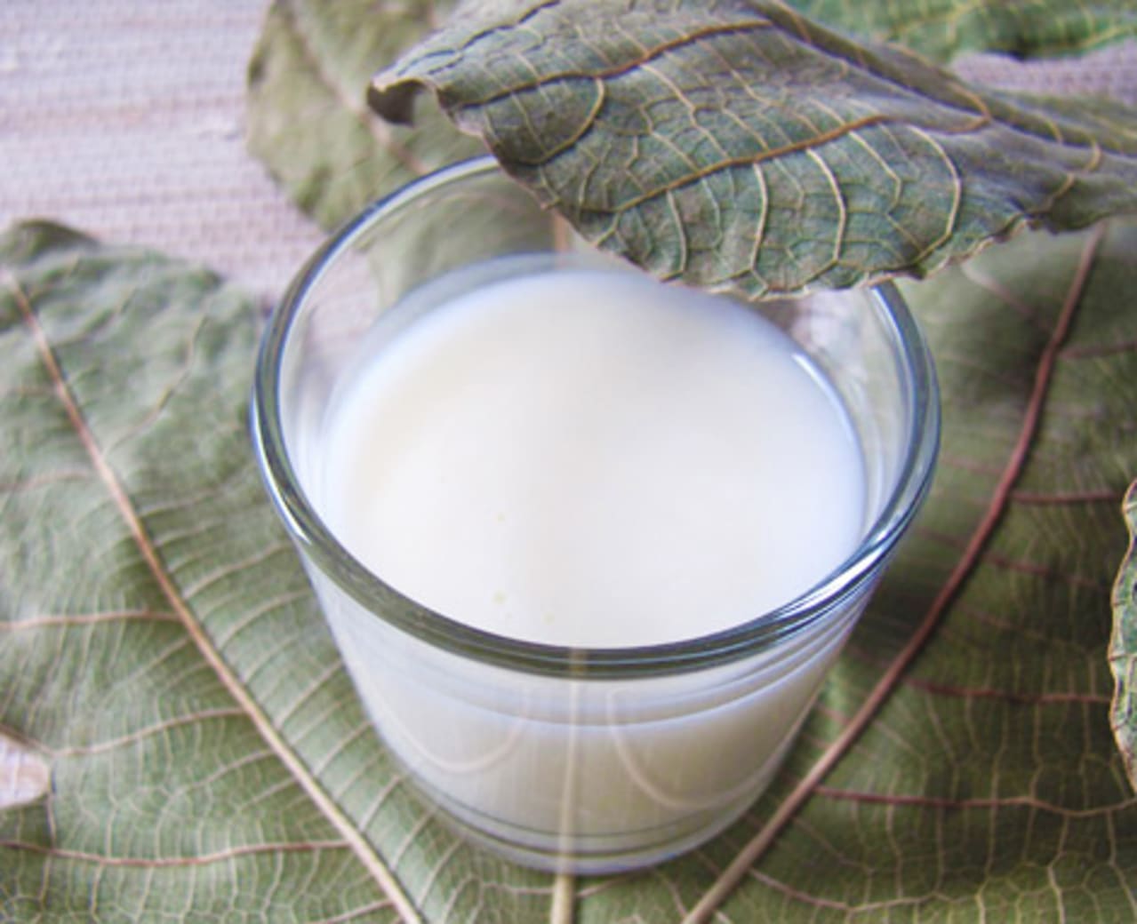 L501039_lait-corps_minceur-anti-capitons