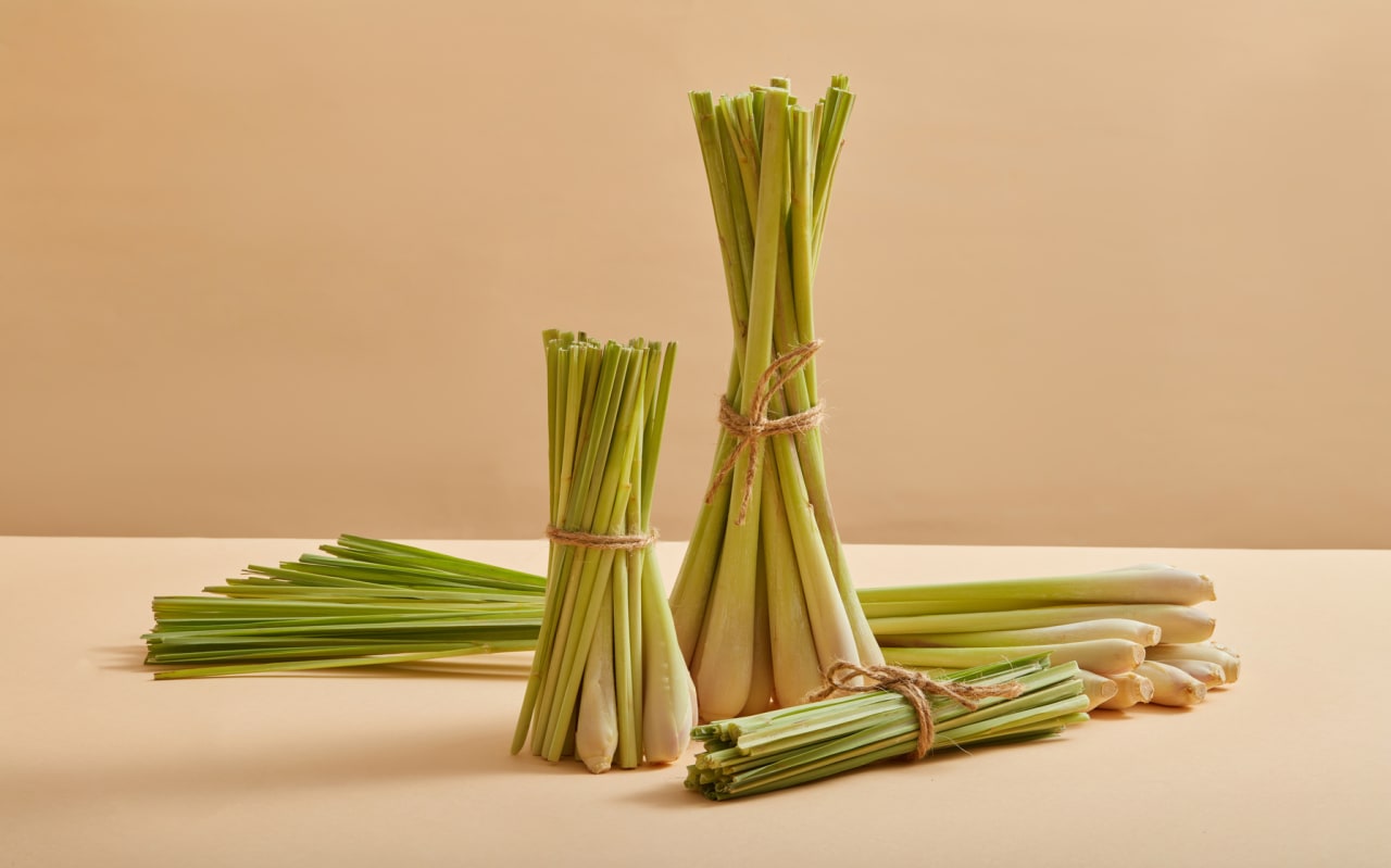 Quali sono i benefici della Citronella?