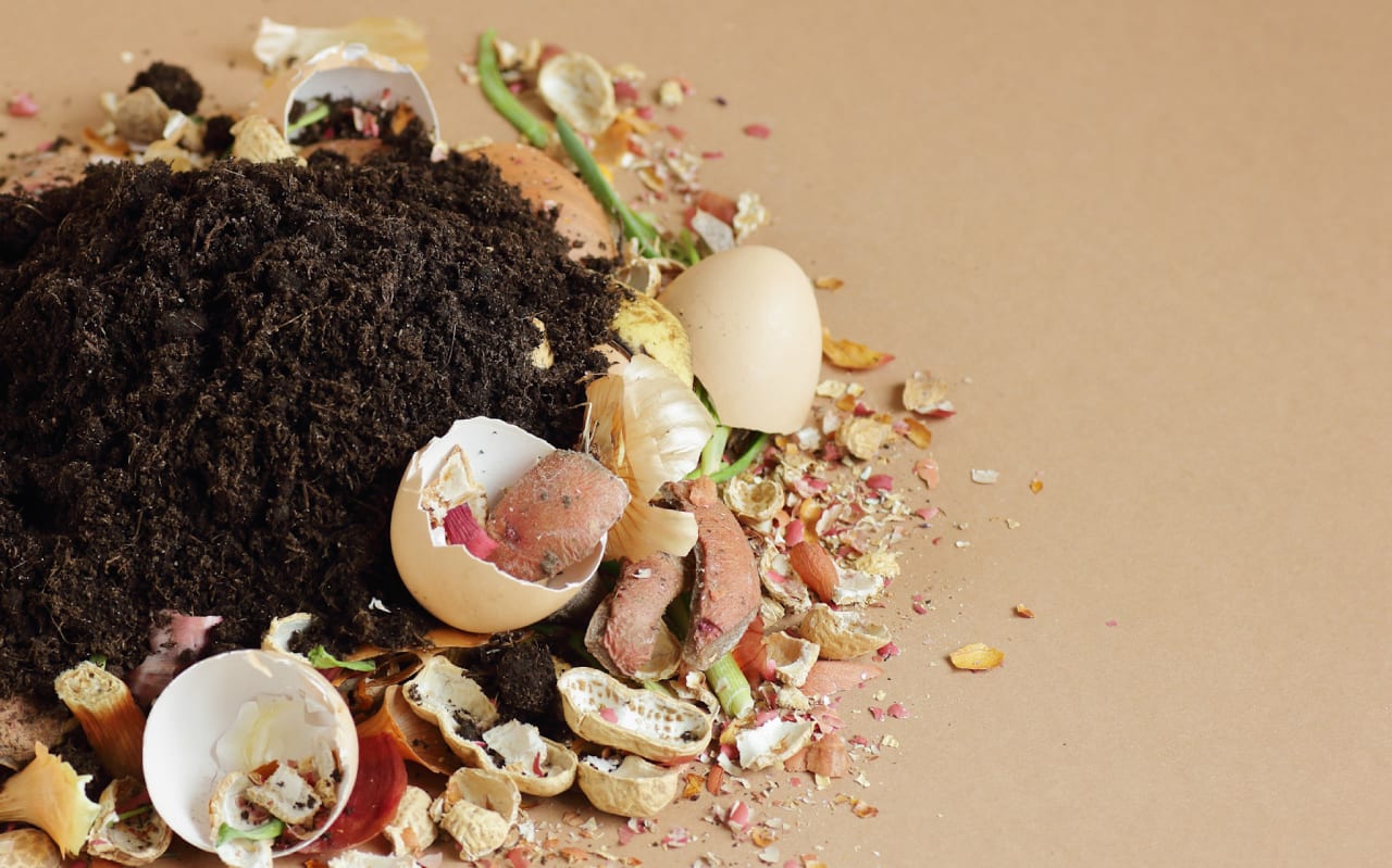 Compost maison : la méthode simple pour obtenir un engrais riche en un temps record