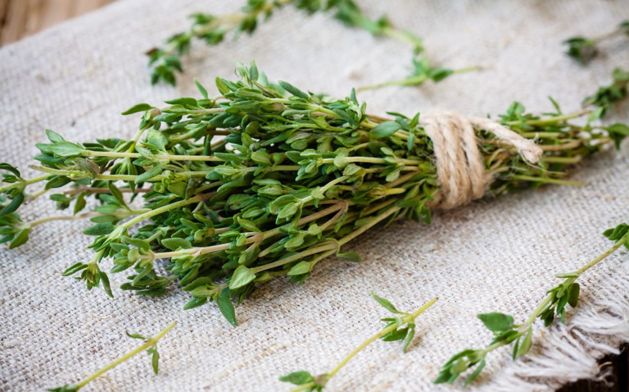 Comment utiliser le Thym en inhalation ?