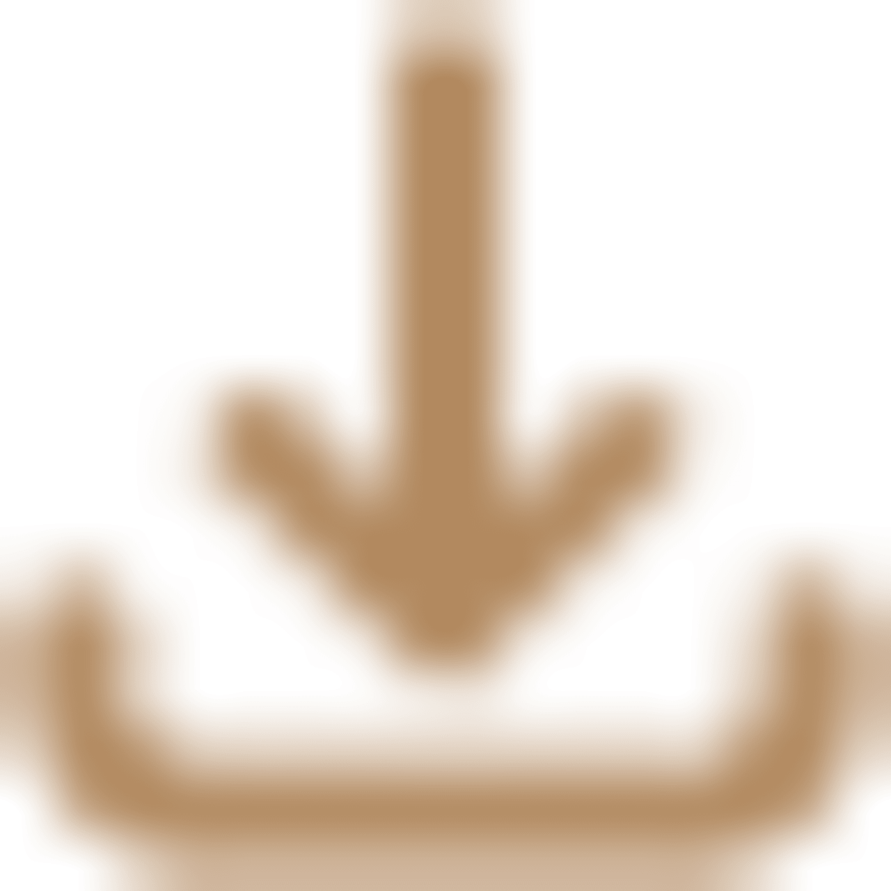 Download icon