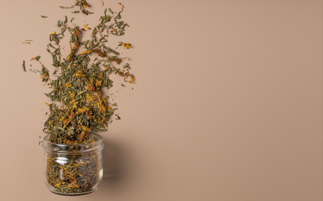 Millepertuis perforé (Hypericum perforatum) : définition, propriétés et bienfaits
