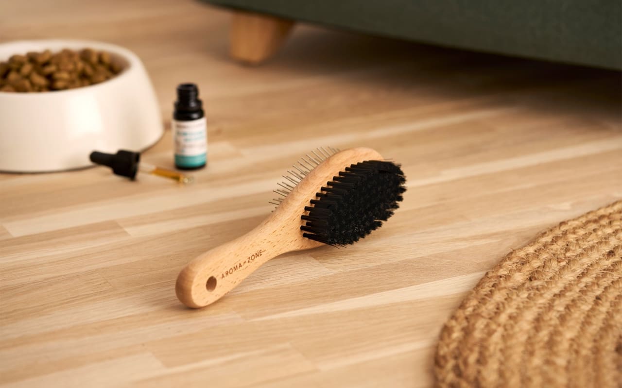 Brosse pour chat : Quelle utilisation ?