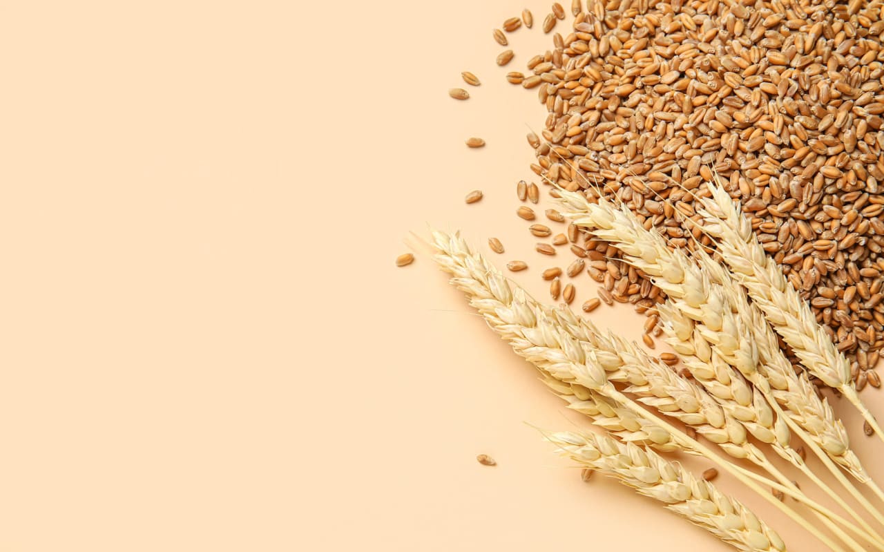 Faut-il abandonner le gluten ?
