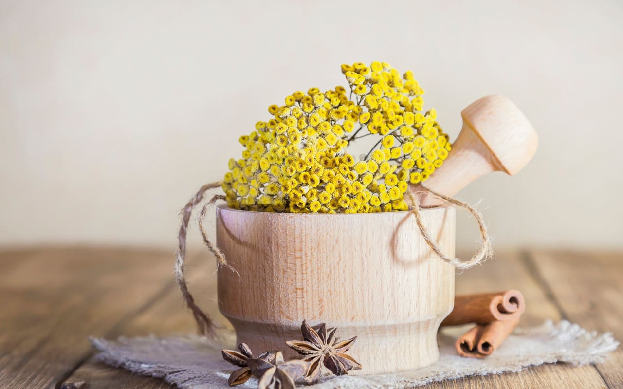 Tanaisie (Tanacetum vulgare)