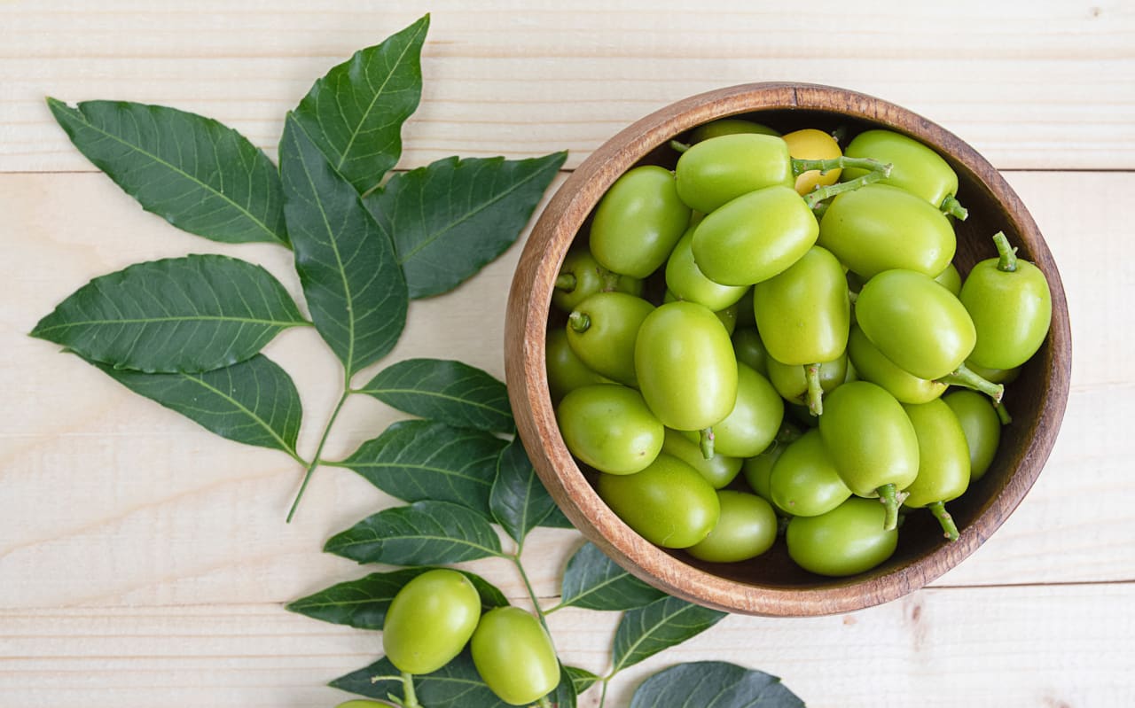 Comment utiliser l'huile de Neem comme insecticide ?