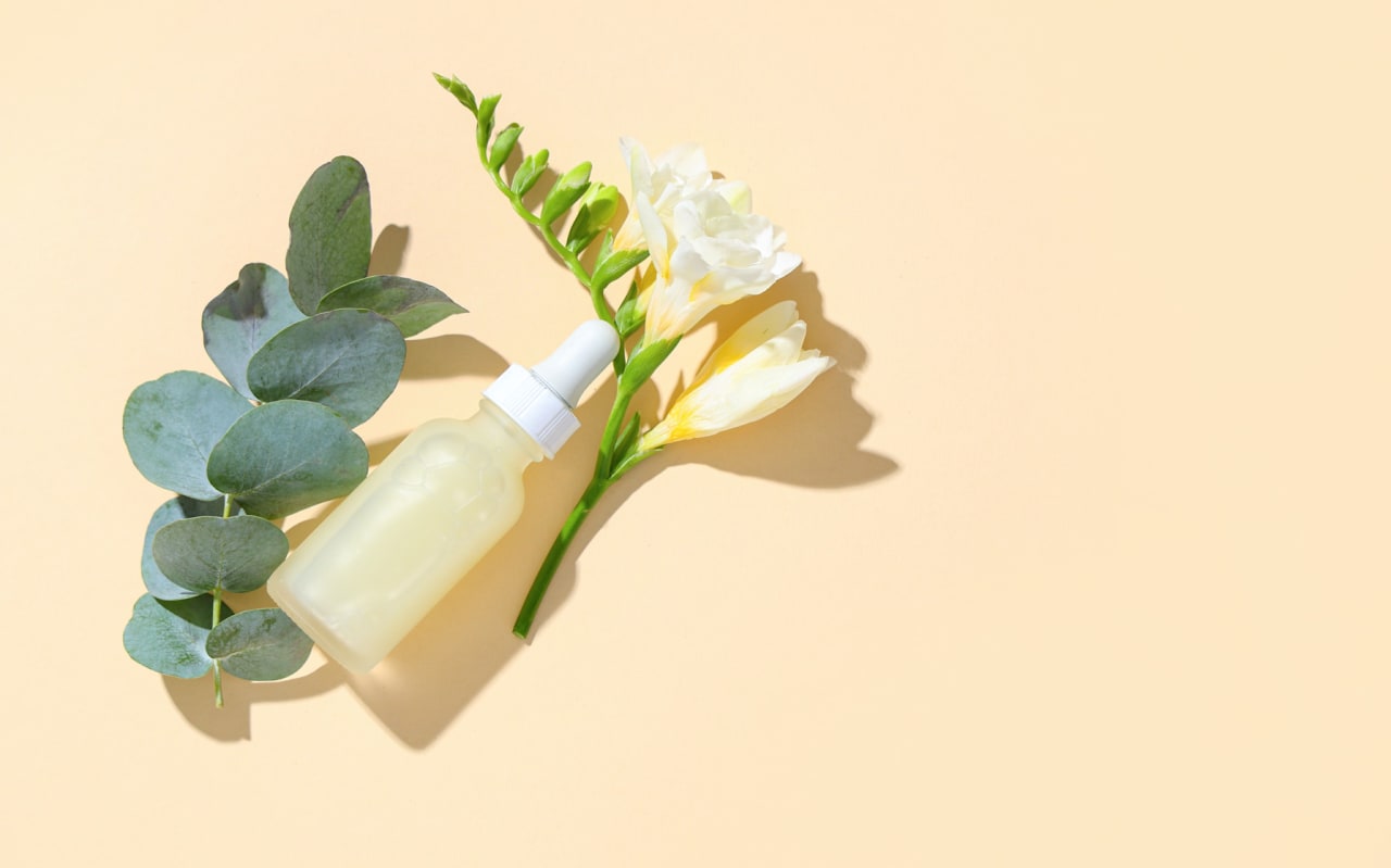 Feuilles d'Eucalyptus et confort respiratoire : quel lien ?