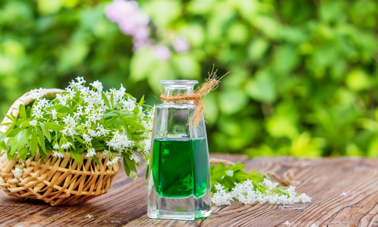 L'Aspérule odorante bio : origine et bienfaits de cette plante