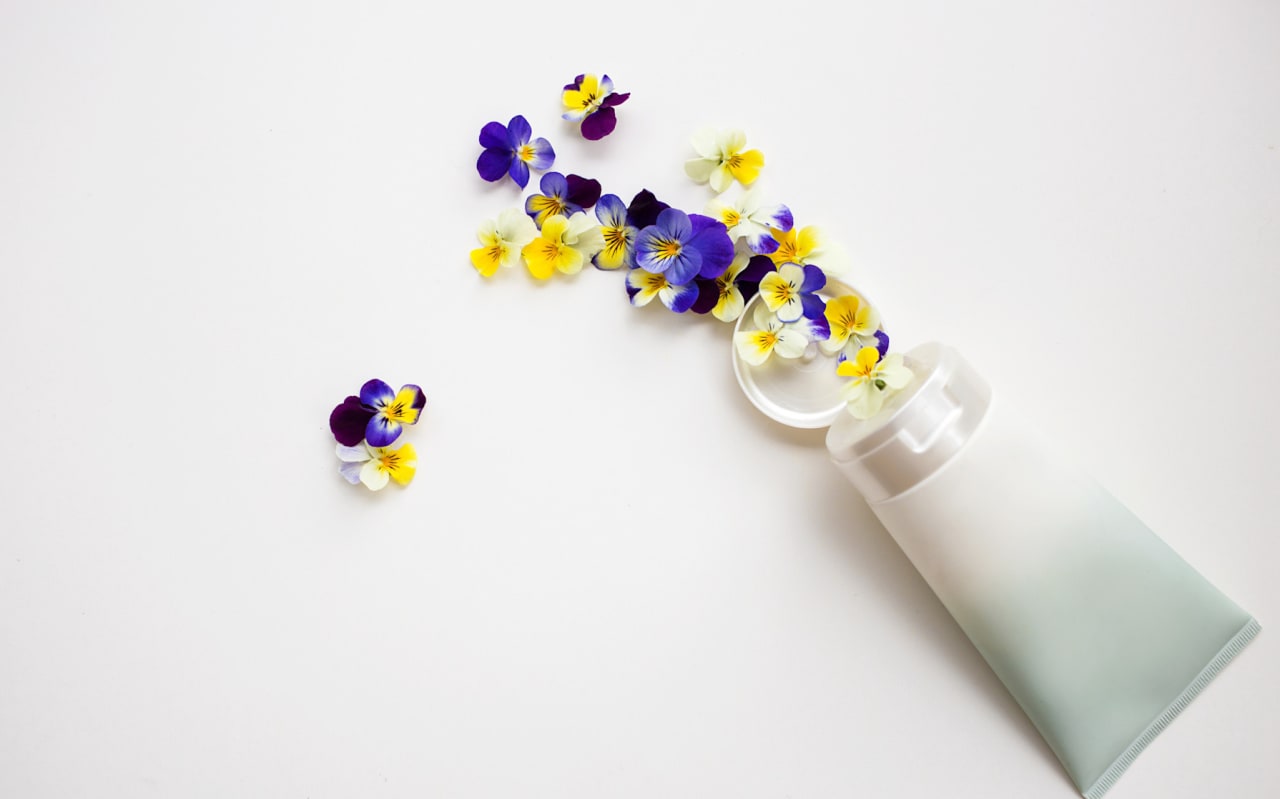 Pensée sauvage : vertus, usages et bienfaits naturels