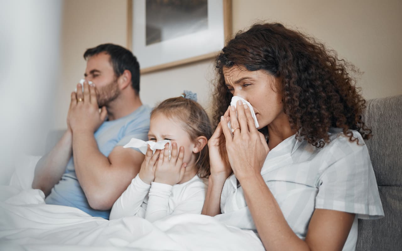 Nez bouché, yeux irrités : ces solutions naturelles contre les allergies saisonnières