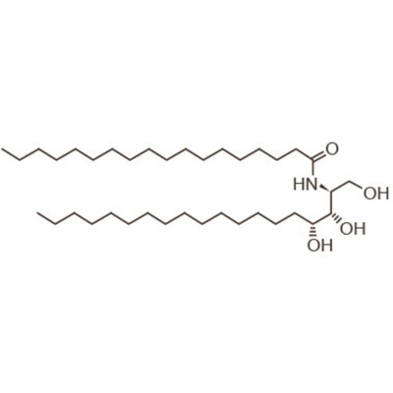 molecule ceramide