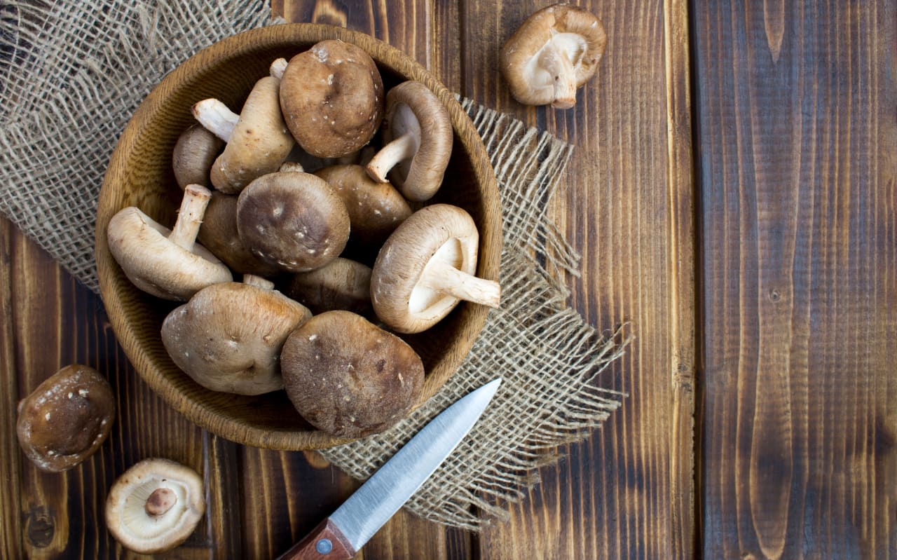 Shiitake : Bienfaits, propriétés et utilisations ?