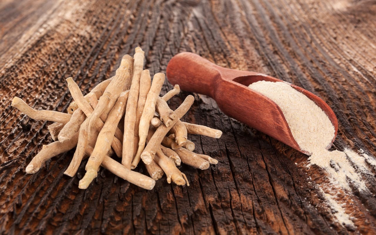 Quels sont les bienfaits de l'ashwagandha en musculation ?
