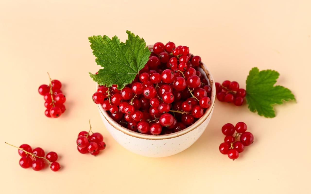 Pourquoi manger des groseilles ?