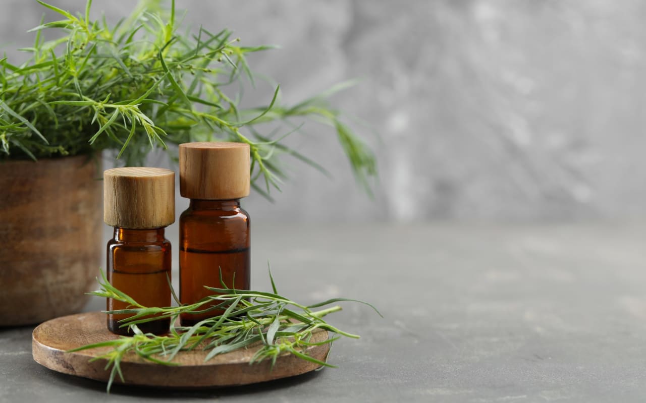 Estragon (Artemisia dracunculus) : définition, propriétés, bienfaits