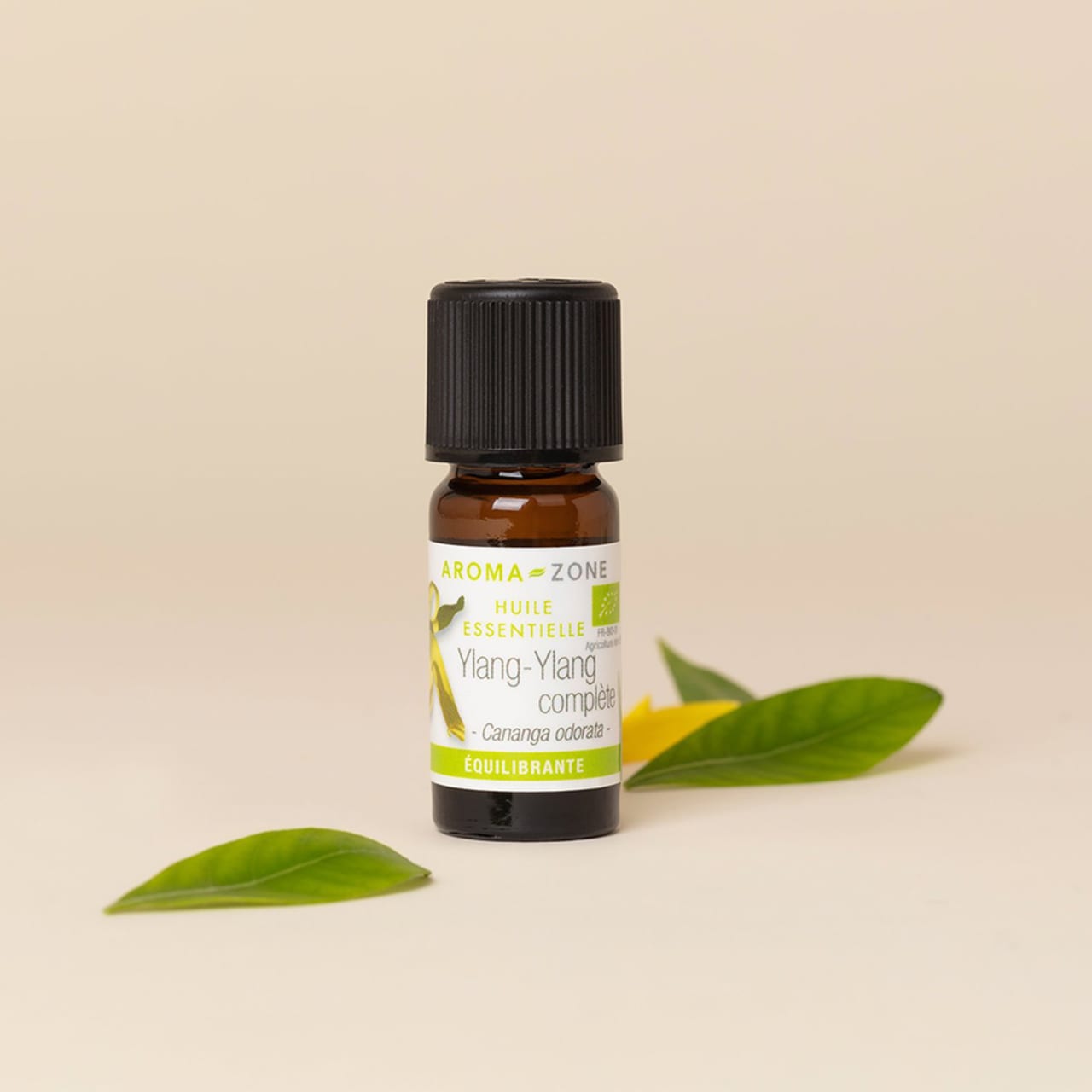 marketing banner ylang ylang 900x900v2