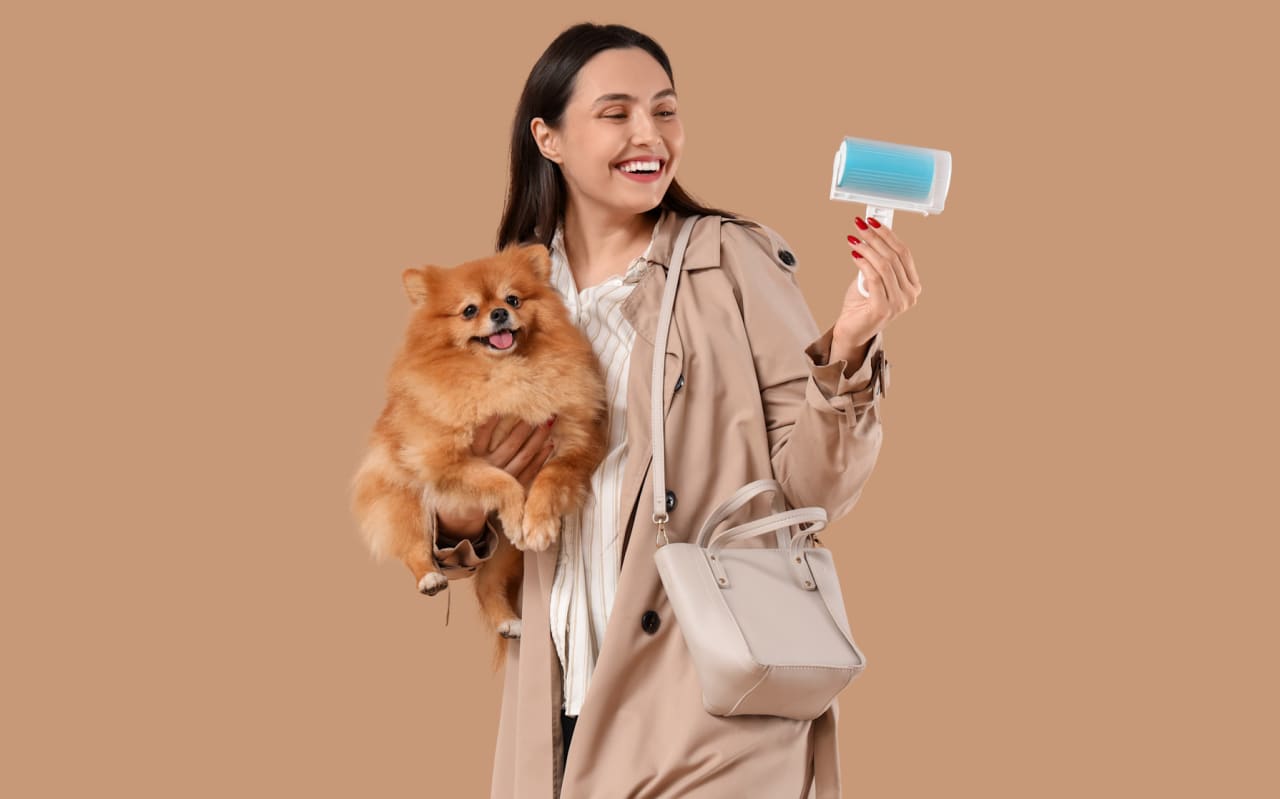 Comment entretenir un chien à poil long : conseils pour un poil doux