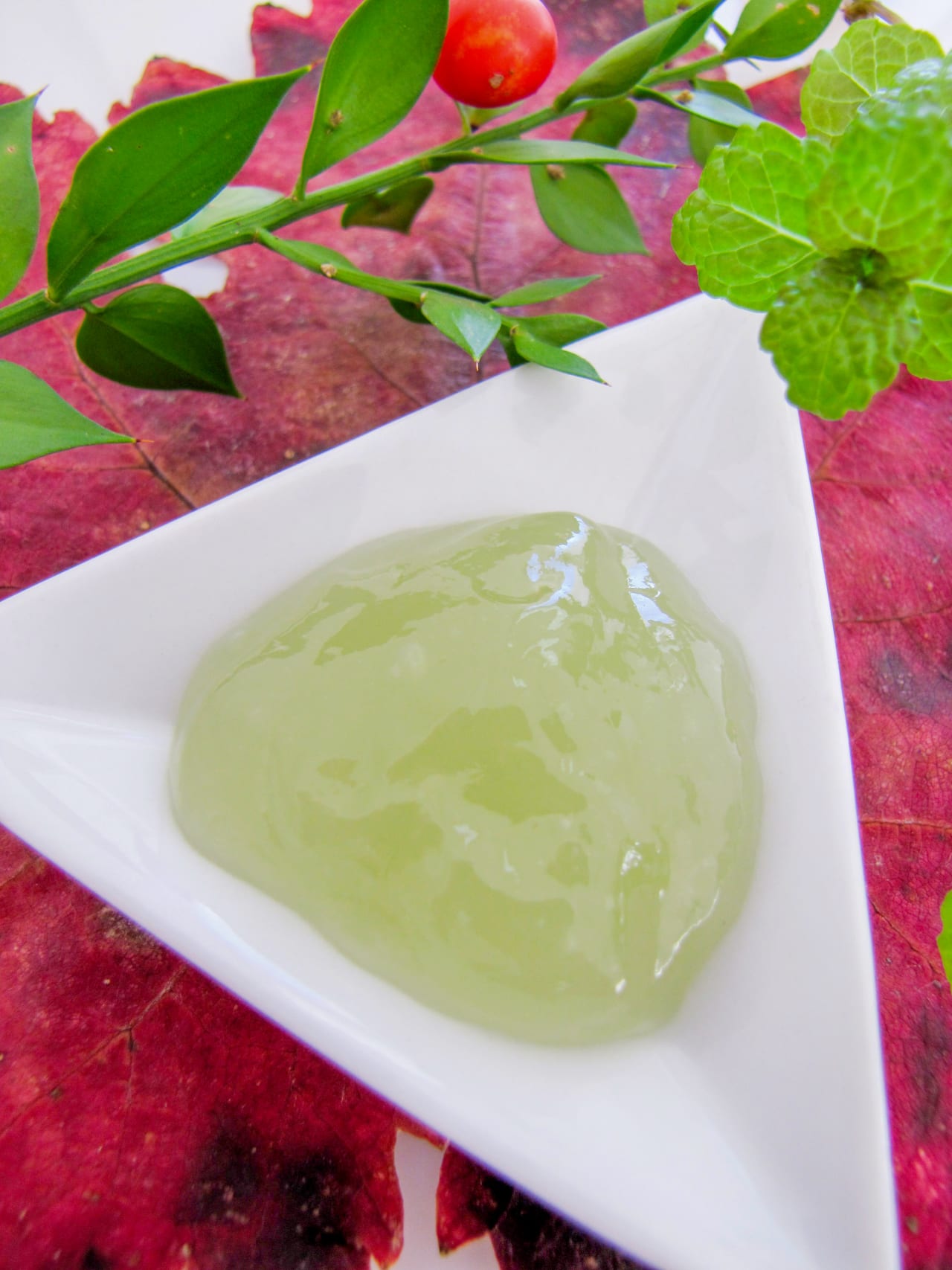 Gel glaçon tonique jambes légères au Petit Houx
