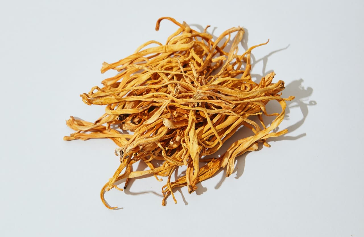 Cordyceps (Paecilomyces hepiali): Benefits and Precautions
