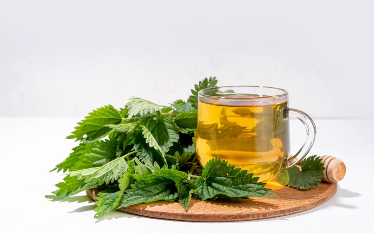 Tisana all'Ortica: quali benefici?