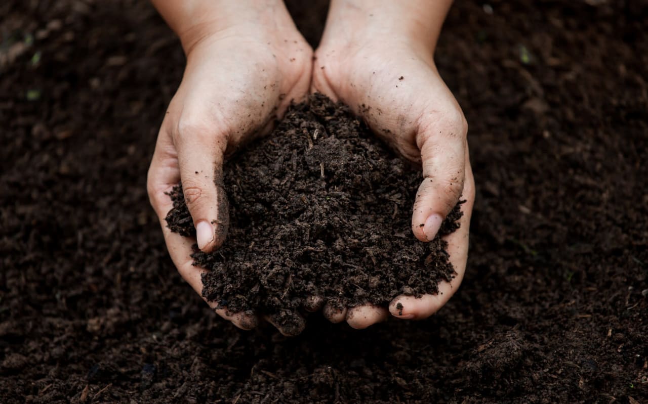 How Can You Make Successful Compost?
