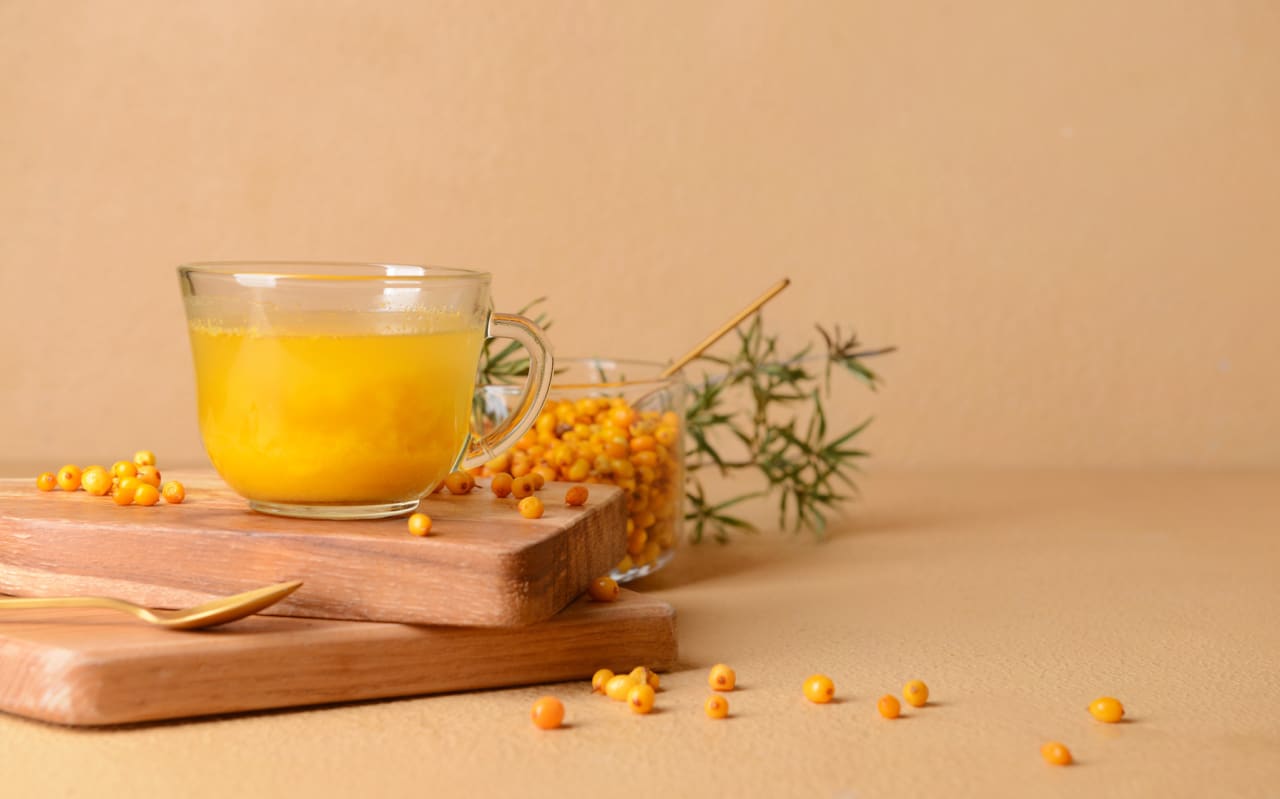 Argousier : tout savoir sur ses bienfaits et son utilisation