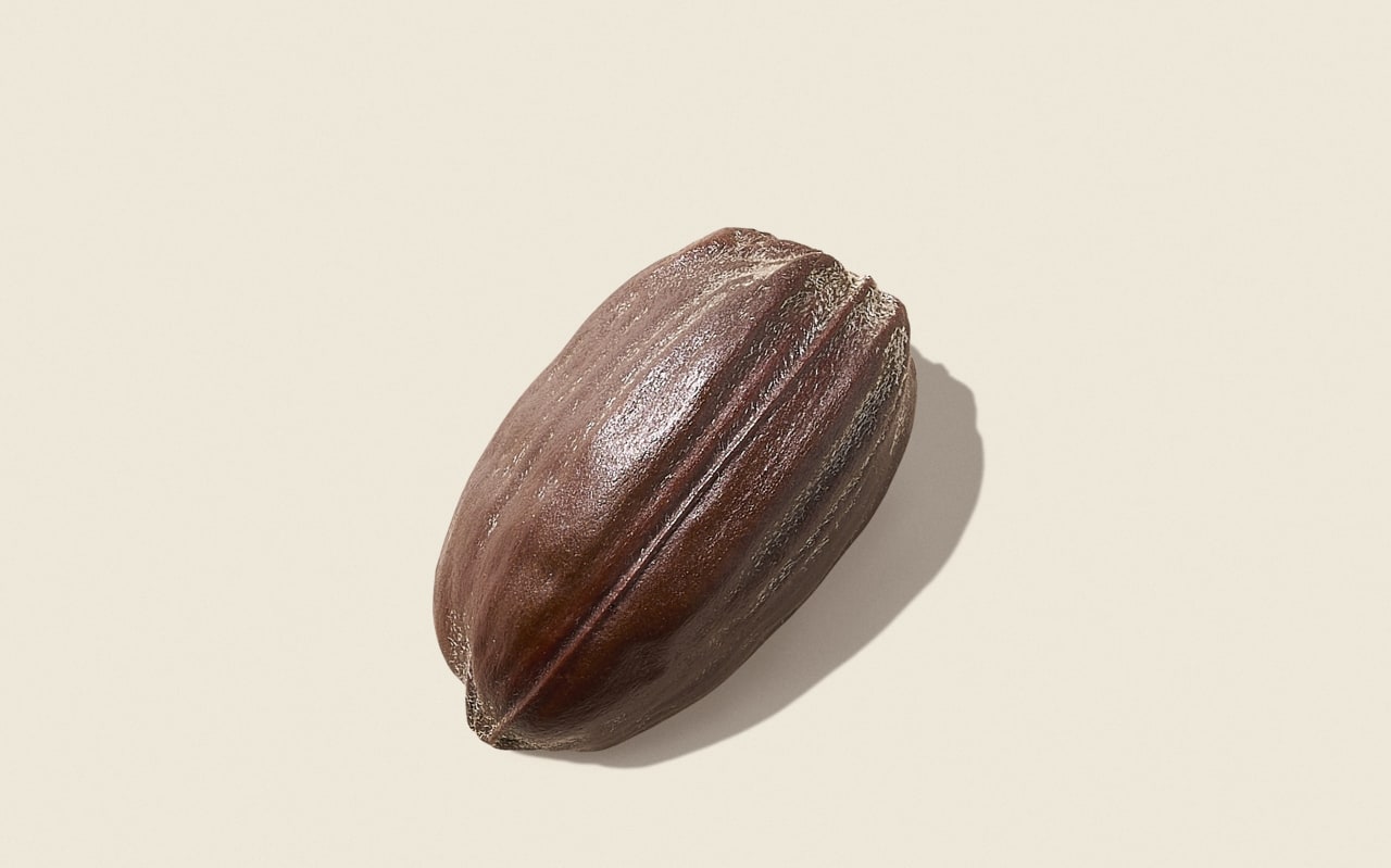 Les bienfaits de l'huile de Jojoba