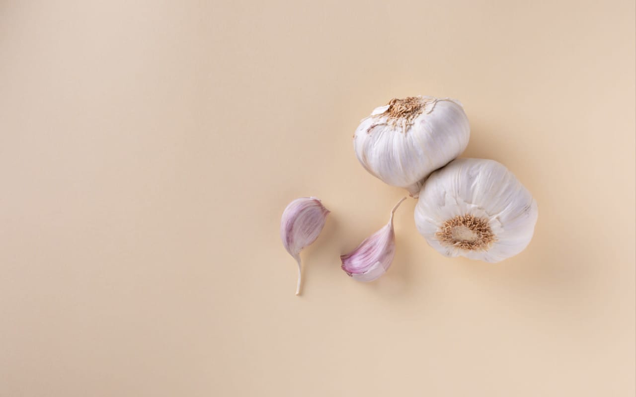 Comment bien conserver l’Ail et l’Oignon sans risque de germination ? 