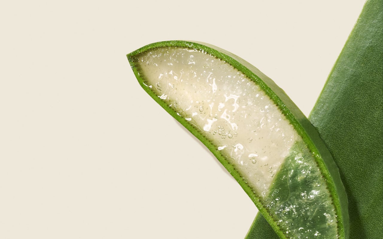 Il gel di Aloe Vera Aroma-Zone